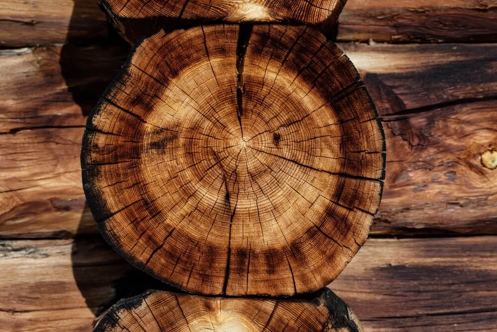 Le choix entre le bois mou et le bois dur