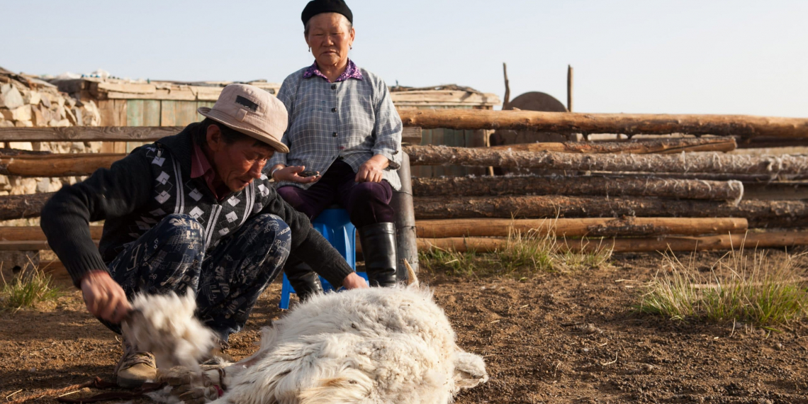 Tout savoir sur la marque de literie préférée des français