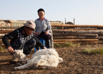 Tout savoir sur la marque de literie préférée des français