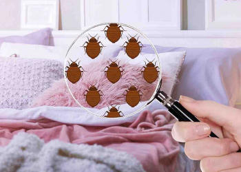 accarien matelas quoi faire