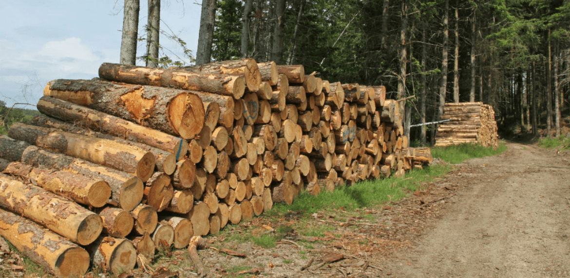 tête de lit en bois de pins