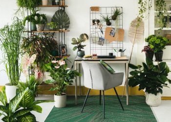 Bureau avec plantes