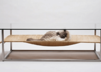 Table basse de koichi Futatsumata