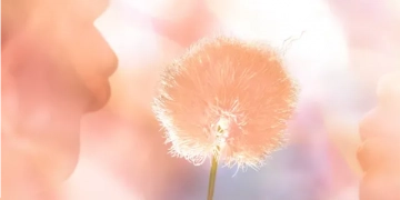 Peach Fuzz : la couleur Pantone 2024 signe une année tout en douceur
