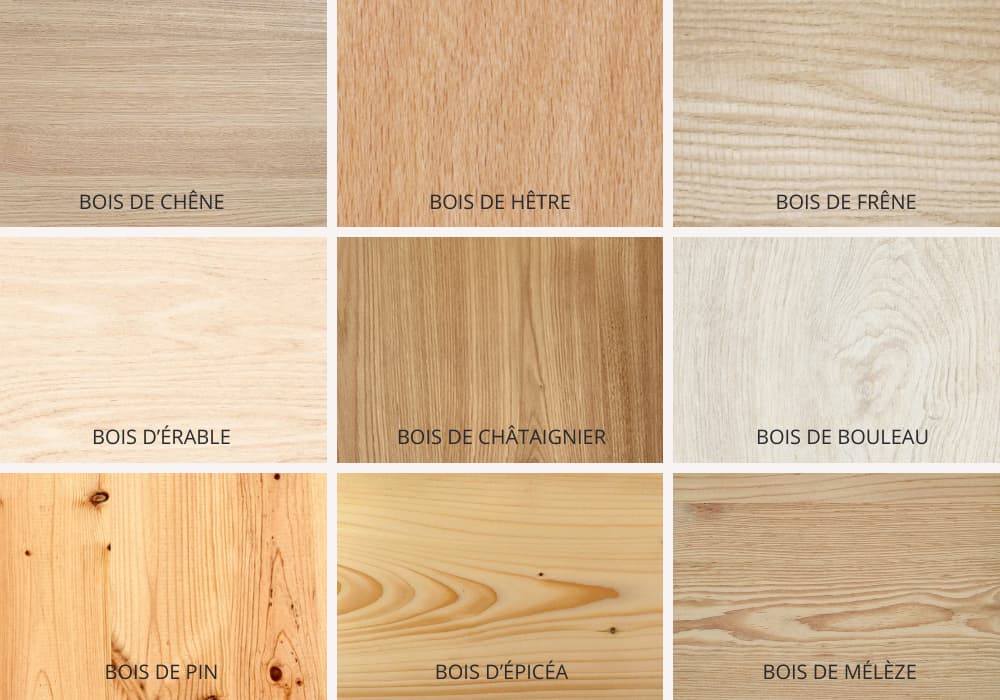 Comment reconnaître le bois d