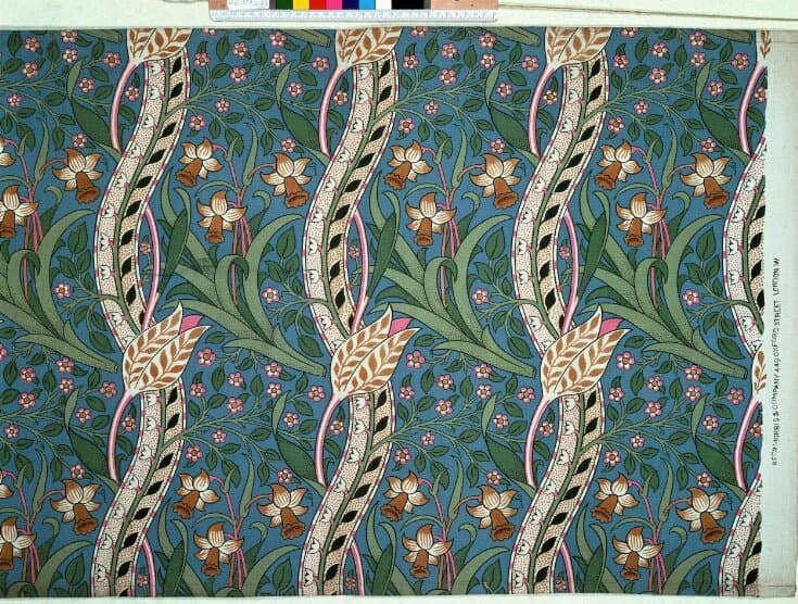 Daffodil - Morris and co