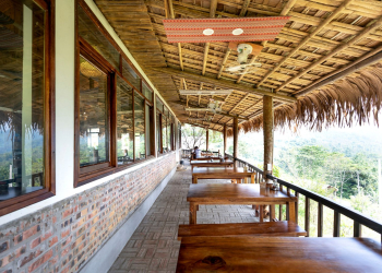 Terrasse en bambou : une solution écologique pour un jardin naturel
