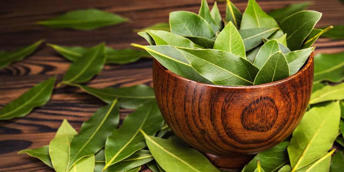 Feuilles de laurier sous l’oreiller : une astuce méconnue aux effets étonnants !