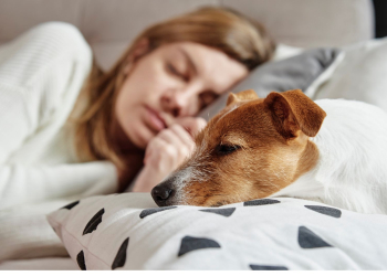 Dormir avec son animal : une mauvaise idée pour votre sommeil ?