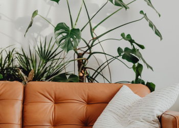 Ce canapé qu’on voyait partout : pourquoi les décorateurs ne veulent plus en entendre parler