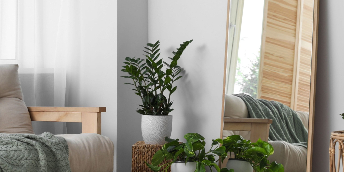 Miroirs et décoration : agrandir, illuminer et sublimer votre intérieur avec style