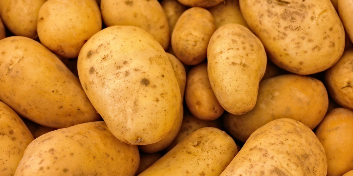 Astuces ménagères : la pomme de terre, votre nouvelle arme anti-calcaire