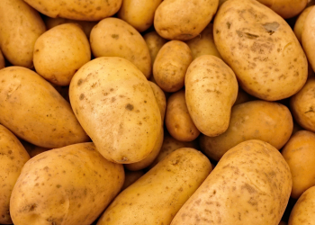 Astuces ménagères : la pomme de terre, votre nouvelle arme anti-calcaire