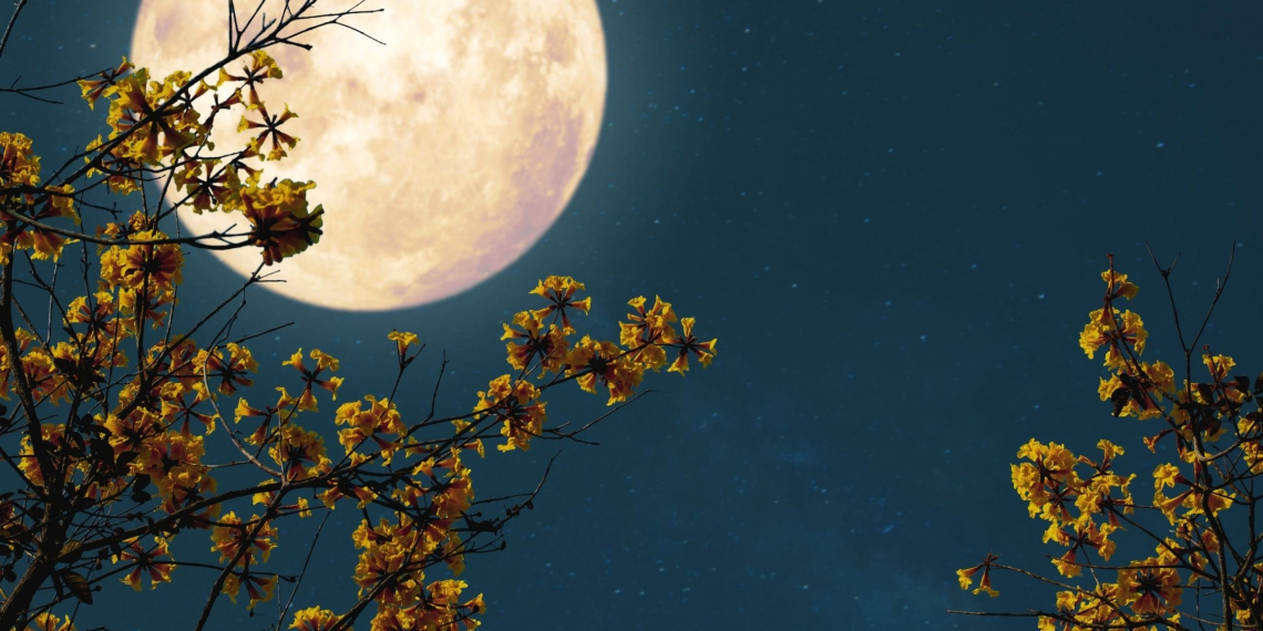 Pleine lune : la vérité sur son étrange impact sur votre sommeil