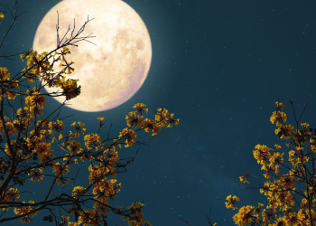 Pleine lune : la vérité sur son étrange impact sur votre sommeil