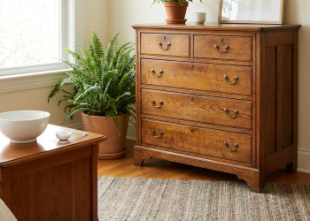 An antique wooden chest of drawers in a cozy, sunlit room, with a fern and a white bowl of baking soda on an adjacent table.